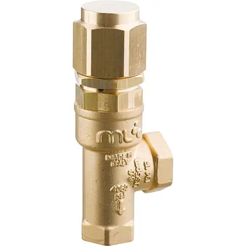 Annovi Reverberi AR SVL28 Safety Balance Relief Valve 4050 PSI