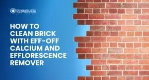 How to Clean Brick With EFF-OFF Calcium and Efflorescence Remover how to clean brick