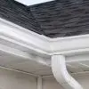 Gutter Cleaning