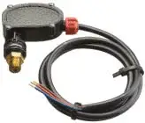 PS6 Hot Water Pressure Switch 218 PSI 1/4" M